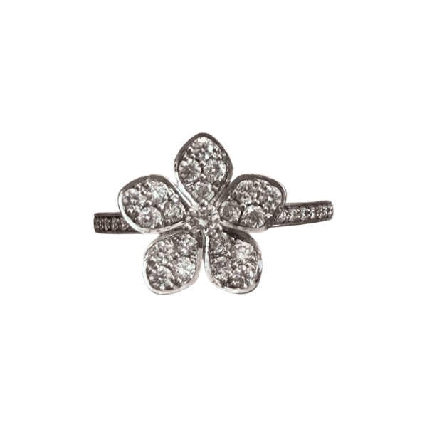 Cropped Faux leather Jacket